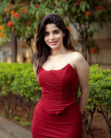 Chandigarh Escort Services